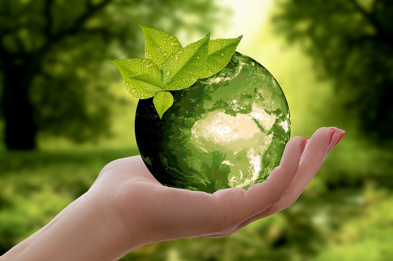 Making Sustainable Choices - A Beginner's Guide to Green Shopping